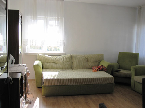 Living room and comfortable couch