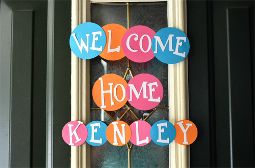 Welcome home baby sign