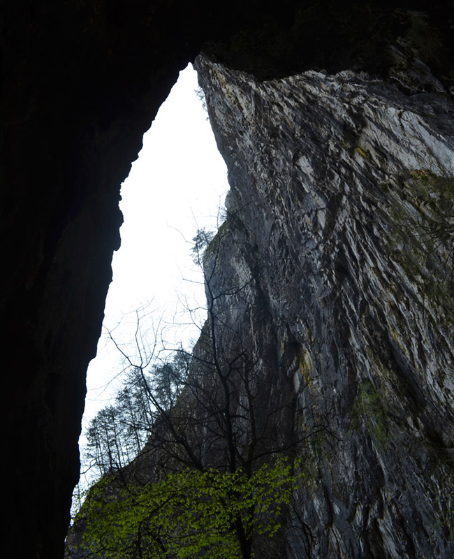 Škocjan Caves Park