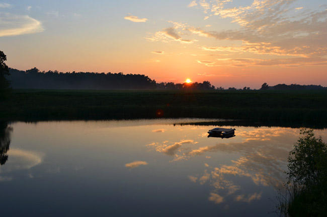 Pond at sunset