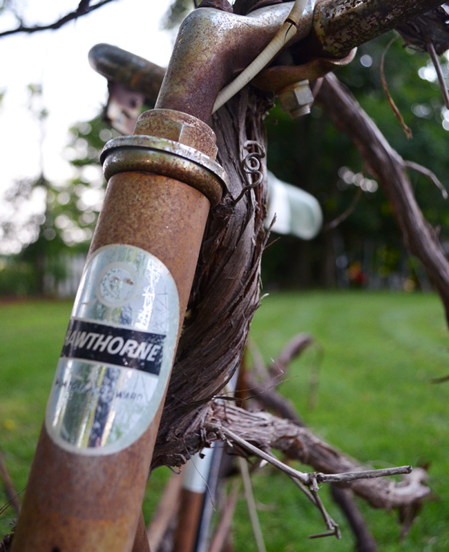 Schwinn Hawthorne bike with a vine