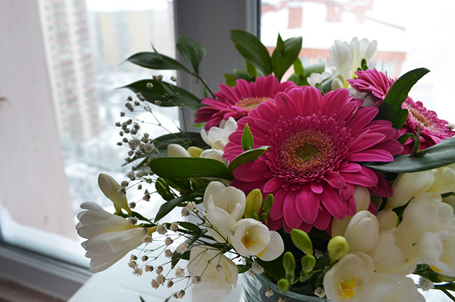 Pink Gerber Daisy and white flowers