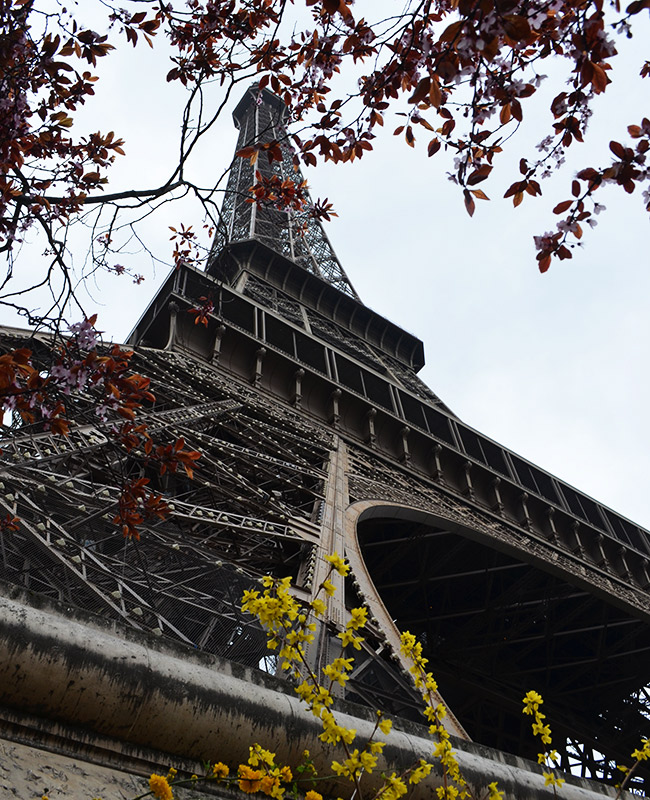 Eiffel Tower from below