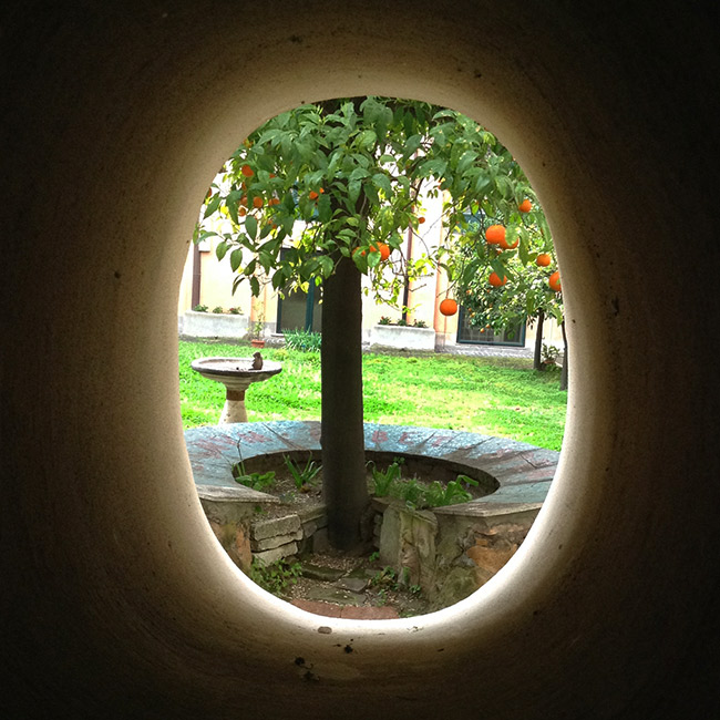 Orange tree through hole