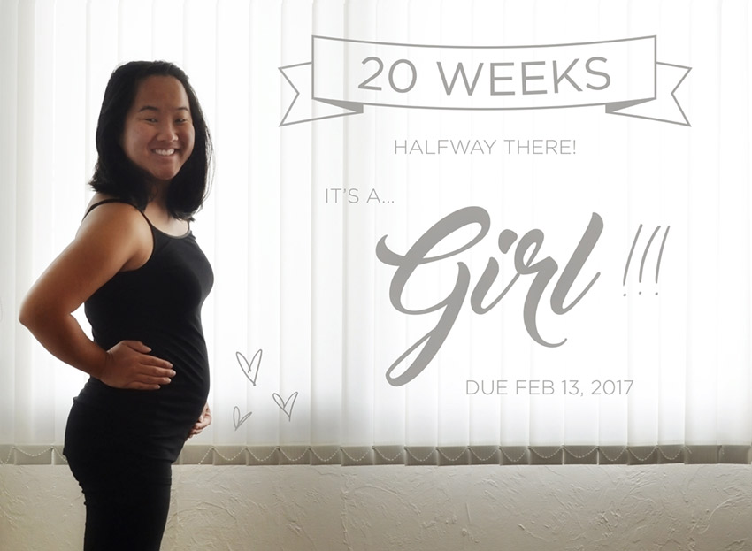 20 weeks gender reveal - it's a girl!